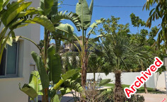 Fully furnished Pyrgos villa with pool for rent 