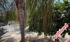 Luxury 4 bedroom house to rent in Ayia Napa