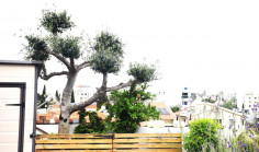 2 bedroom apartment 144 m2 for sale in Lakatamia