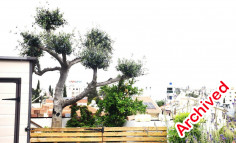 2 bedroom apartment 144 m2 for sale in Lakatamia 2 bedroom apartment 144 m2 for sale in Lakatamia