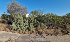 Land 546 m2 for sale in Paralimni, Famagusta