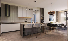 New luxury penthouse with roof garden for sale in Agios Athanasios area 