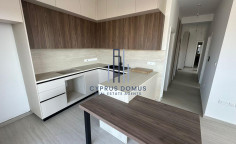 New modern whole floor penthouse for sale in Apostolos Andreas area 