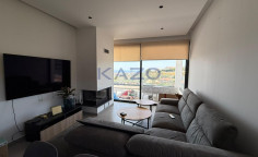 Furnished 2-bed penthouse in Panthea 