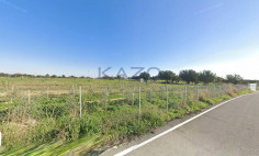 Large protection zone field in Anogyra, cyprus , Limassol Large protection zone field in Anogyra, cyprus , Limassol