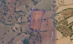 Large protection zone field in Anogyra, cyprus , Limassol Large protection zone field in Anogyra, cyprus , Limassol