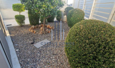 3-bed house in Zakaki, partially furnished 