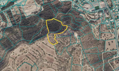 Large agricultural field in Palodeia , Limassol