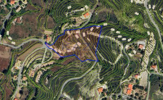 Development land in Trimiklini - 12,353 m² , Limassol Development land in Trimiklini - 12,353 m² , Limassol