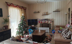 Three bedroom detached house with private pool for rent in Souni-Zanakia 