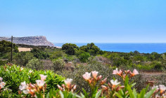 Three beds house for sale in Ayia Napa