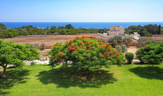 Three beds house for sale in Ayia Napa