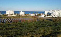 4 bedroom house for sale in Protaras 4 bedroom house for sale in Protaras