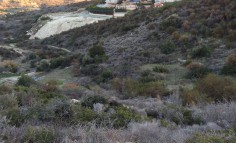 Land for sale in Agios Tychonas, Limassol