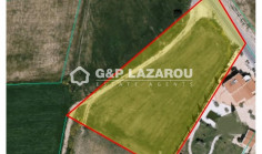 Agricultural land for sale in Pyla, Larnaca 