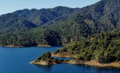 Commercial for sale in Pomos