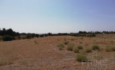 Land for sale in Emba, Paphos
