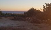 Plot of land in Pegeia , Paphos