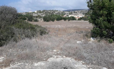 Agricultural land in Pegeia , Paphos