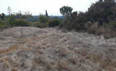 Agricultural land in Pegeia , Paphos