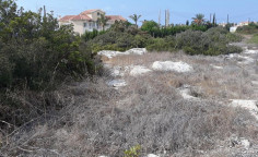 Agricultural land in Pegeia , Paphos