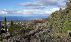 Spacious land for sale in Tala, Paphos