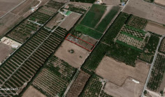Agricultural land in Geroskipou , Paphos