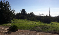 Land for sale in Mesogi, Paphos