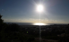 Building land in Pegeia , Paphos