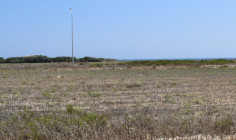 Residential 991 m2 for sale in Perivolia, Larnaca