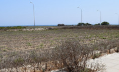 Residential 991 m2 for sale in Perivolia, Larnaca