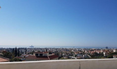 Luxury 5 bedroom furnished house with swimming pool for sale in Green Area
