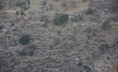 Spacious land for sale in Kelokedara, Paphos