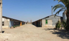 Warehouse for sale in Kiti