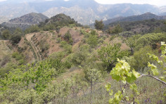 Beautiful land in Gerakies