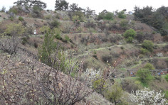 Beautiful land in Gerakies