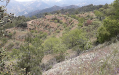 Beautiful land in Gerakies