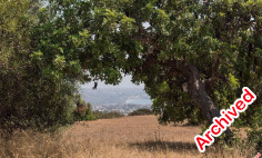 Beautiful residential for sale in Peyia, Paphos