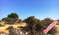 (agricultural) in Pachna, Limassol for sale , Limassol