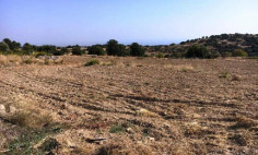 (tourist) in Pachna, Limassol for sale , Limassol