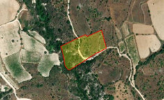Land for sale in Dora, Limassol