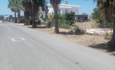 Spacious 3 bedrooms house for sale in Chloraka