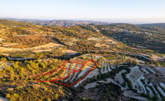 Large land for sale in Amargeti, Paphos