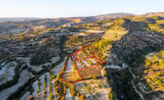 Large land for sale in Amargeti, Paphos