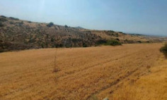 (agricultural) in Nikitari, Nicosia for sale , Nicosia (agricultural) in Nikitari, Nicosia for sale , Nicosia