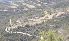 Land for sale in Koilani, Limassol
