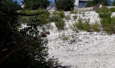 Residential 600 m2 for sale in Armou, Paphos