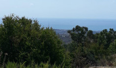 Residential 600 m2 for sale in Armou, Paphos