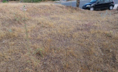 Residential 3846 m2 for sale in Drouseia, Paphos