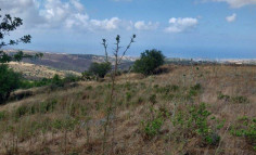 Residential 3846 m2 for sale in Drouseia, Paphos